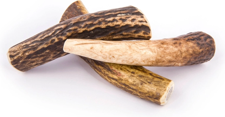 Long‑lasting, odorless chewing