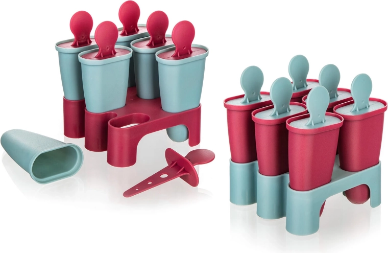 6 moules pour bâtonnets glacés et sorbets maison
