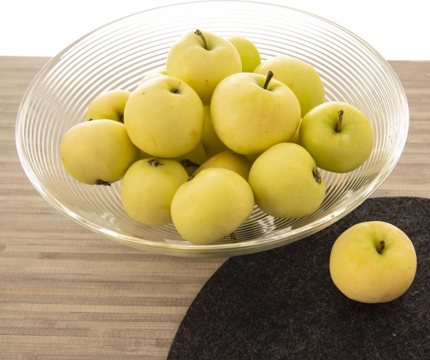 Ideale schaal voor fruit en hapjes