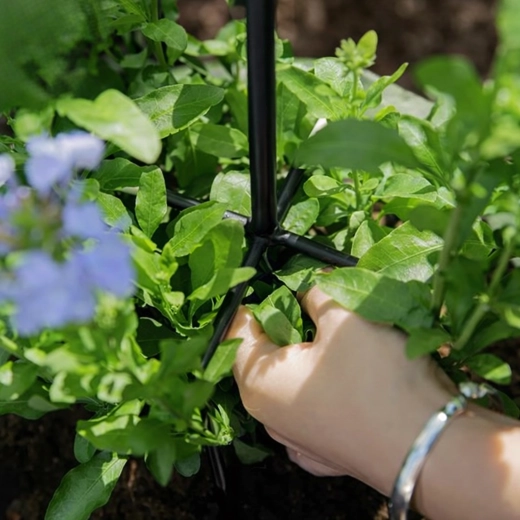 Stabile Unterstützung für üppige Blüte