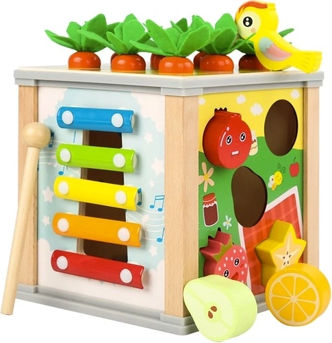 Houten educatieve kubus 5-in-1 voor kinderen