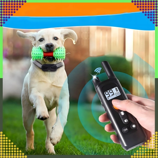 Range up to 800 m for reliable training