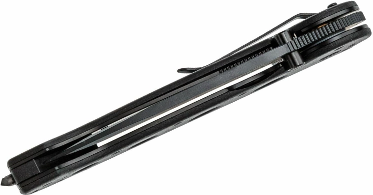 Secure carry with pocket clip