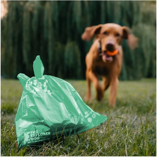 100% leak-proof and durable