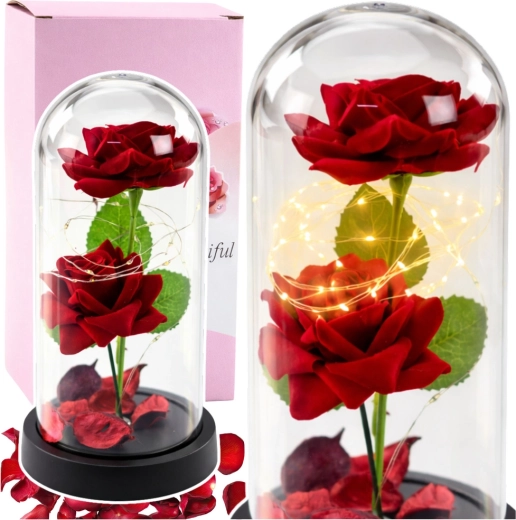 Eternal red roses under a glass dome with LED lighting and petals
