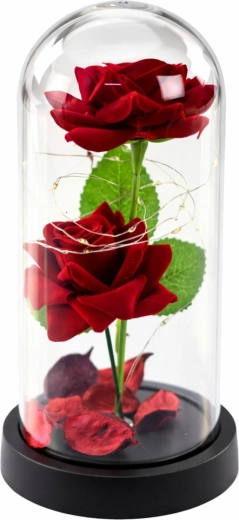 Two roses under a protective dome