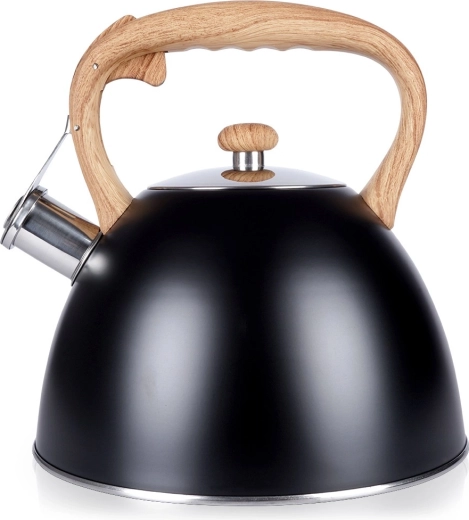Bouilloire de cuisinière en inox avec sifflet 3 l, noire Vilde