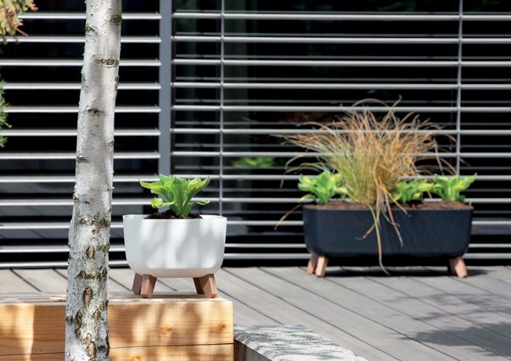 Design minimaliste, effet maximal