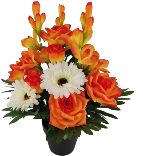 Format compact et stable