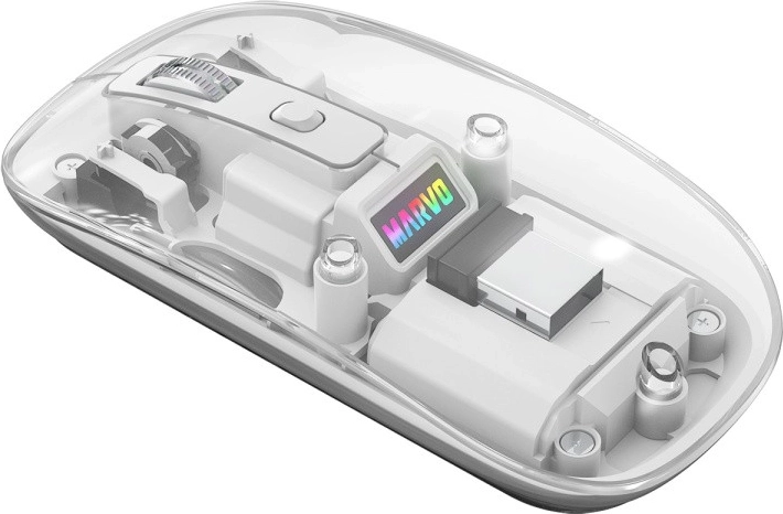 Dual wireless connectivity