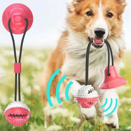 Gesunde Zähne und Zahnfleisch bei jedem Spiel