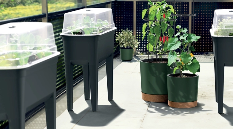 Integrated support structure for reliable growth