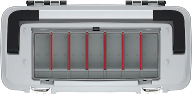 Clear organization with adjustable dividers