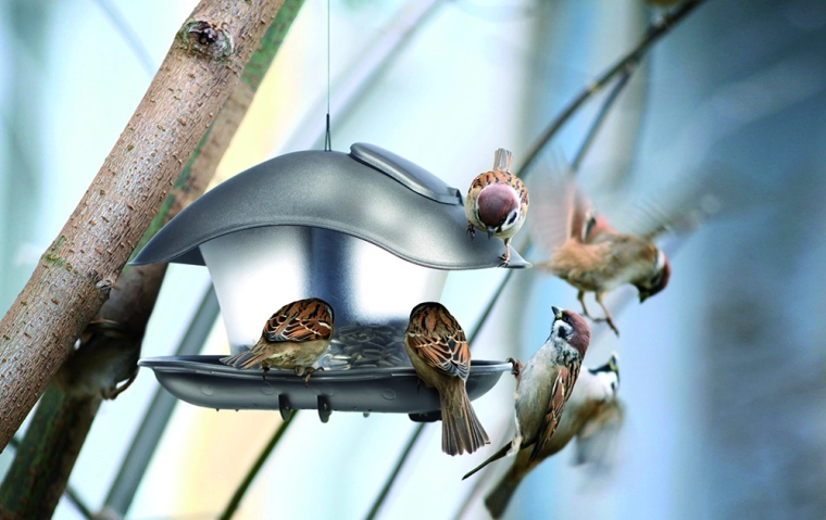 Transparent container for easy feed monitoring