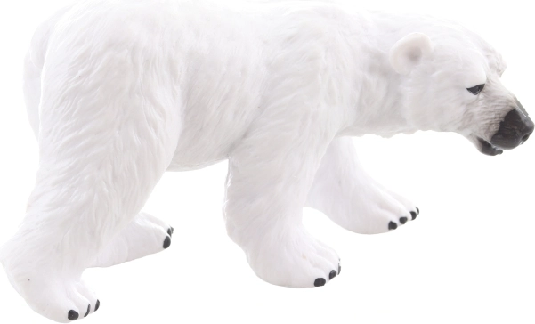 Ideaal voor de verzameling en als decoratie