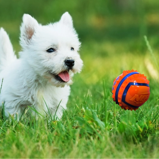 Hoge zichtbaarheid bij buitenspelen