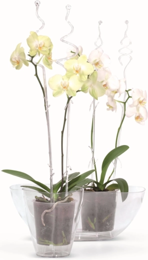 Einfache Kontrolle und Pflege der Pflanzen