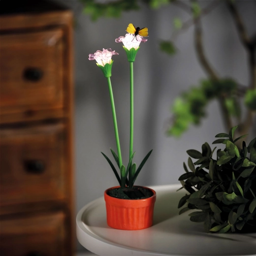 Paarse solarbloem met 10 warmwitte leds