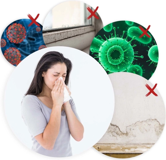 Réduction efficace de l’humidité et protection contre les moisissures