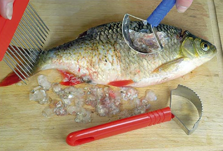 Accessoire pratique pour la cuisine et les pêcheurs