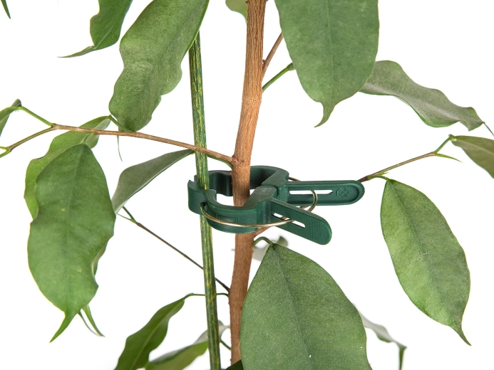 Fixation des tiges solide et délicate