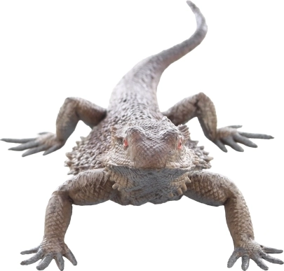 Sûr et adapté aux enfants dès 3 ans