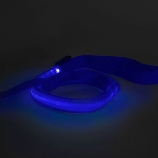 Laisse LED avec accumulateur, 120 × 2,5 cm, bleue
