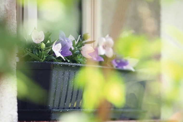 Idéale pour les herbes et les plantes à fleurs