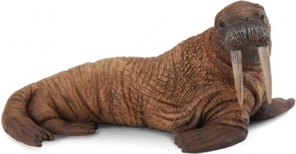 Collecta morse de l’Arctique figurine