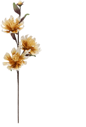 Decorative chrysanthemum flower with 3 blooms, 101 cm, yellow