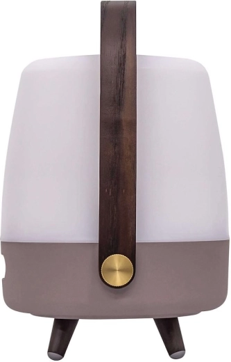 Draagbaar Scandinavisch design