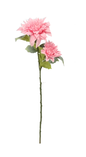 Hauteur idéale de 60 cm