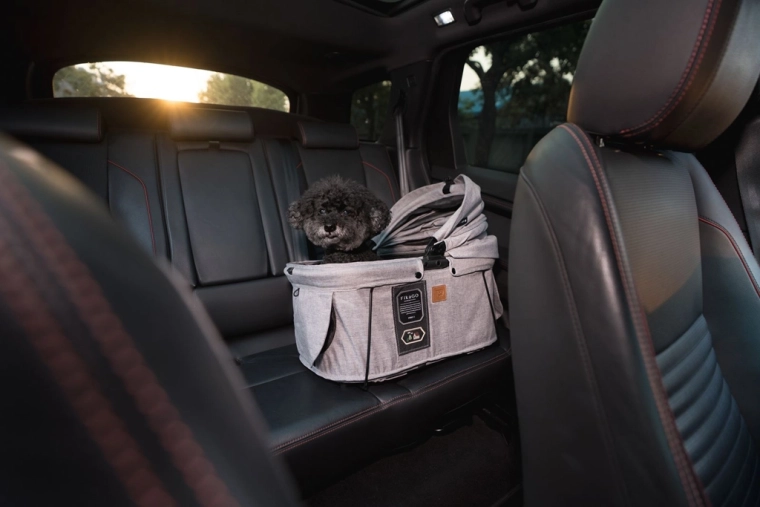 Sécurité en voiture et en déplacement