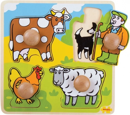 Bigjigs Toys Insert Educational Puzzle Farm