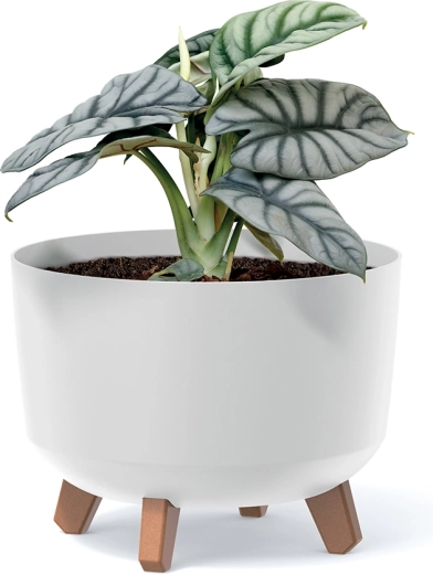 Ruimte voor gezonde groei