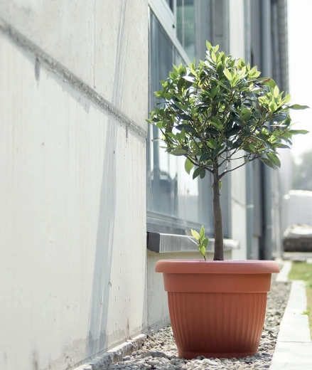 For home and garden