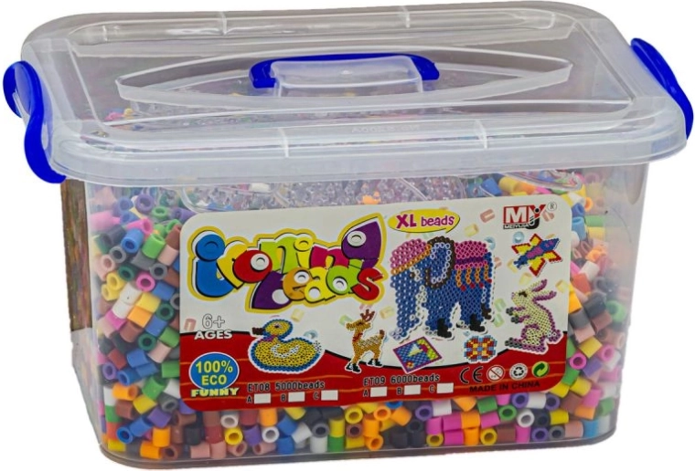Practical case for storage and carrying