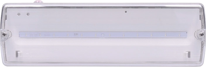 Solight LED-noodarmatuur 4 W 200 lm IP65 met autotest