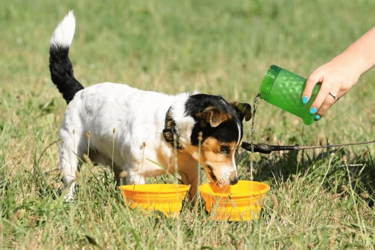 Hydration and feeding anywhere with 2‑in‑1