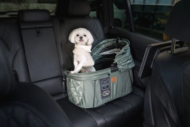 2-in-1 Lösung: Tragetasche und komfortables Reisen im Auto