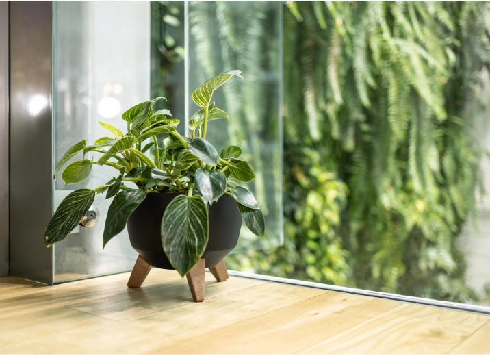 Elegante uitstraling in elke ruimte