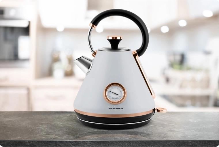 Metal body, removable lid, and limescale filter