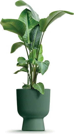 Insert amovible pratique et drainage