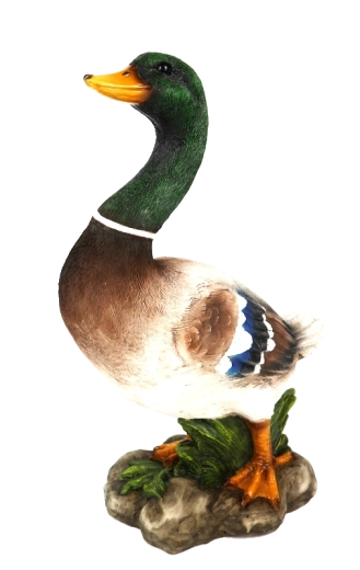 Universele decoratie voor binnen en buiten