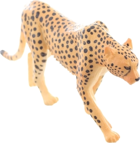 Idéale pour apprendre et collectionner