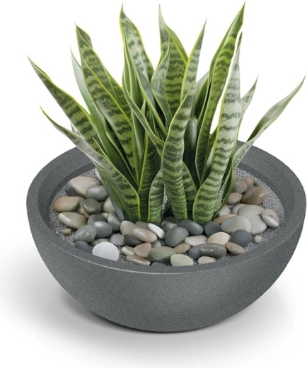 Slimme afvoerklep voor gezonde wortels