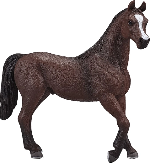 Mojo Arabian Stallion