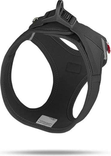 Fast and extra-strong buckle