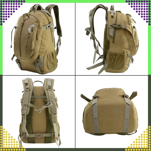 Organisation pratique et capacité extensible