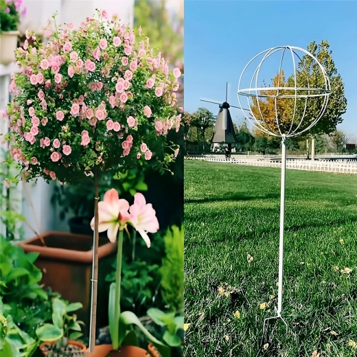 Stabiele steun voor gezonde, verticale groei